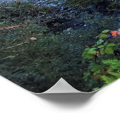 Fluss Clackamas, Oregon Poster (Ecke)