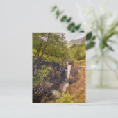 Fluss Coe Canyons Postkarte (Stehend Vorderseite)