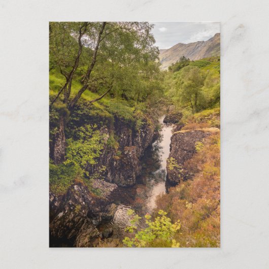 Fluss Coe Canyons Postkarte (Vorderseite)
