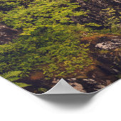 Fluss Coe Wasserfall Poster (Ecke)