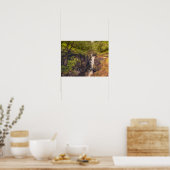 Fluss Coe Wasserfall Poster (Küche)