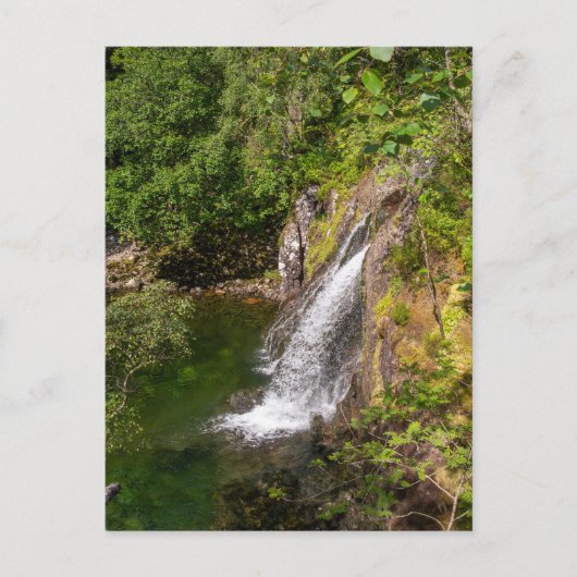 Fluss Coe Wasserfall Postkarte (Vorderseite)