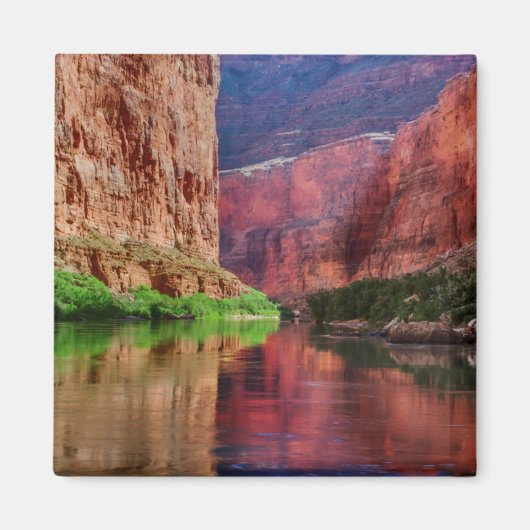 Fluss Colorado in Grand Canyon, AZ Magnet (Vorne)
