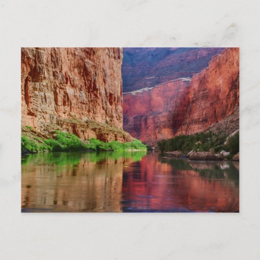 Fluss Colorado in Grand Canyon, AZ Postkarte (Vorderseite)