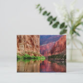 Fluss Colorado in Grand Canyon, AZ Postkarte (Stehend Vorderseite)