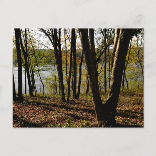 Fluss Connecticut Postkarte (Vorderseite)