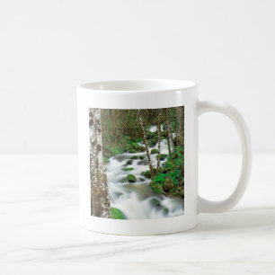 Fluss Deltaalders Siskiyou Wald Oregon Kaffeetasse