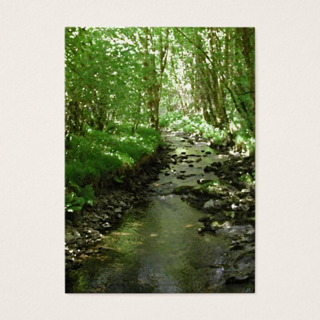 Fluss, der durch Wälder fließt. (Vorderseite)
