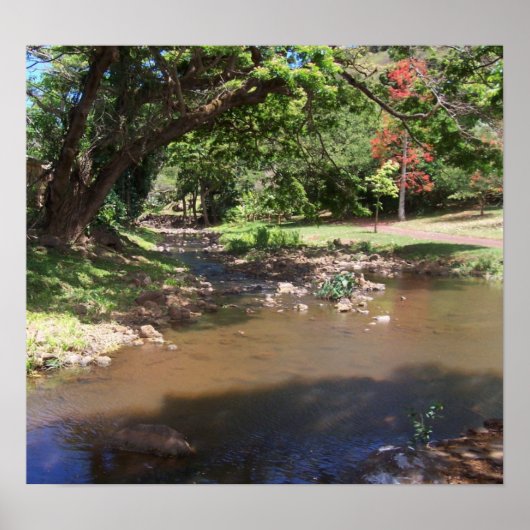 Fluss der Stille Poster (Vorne)