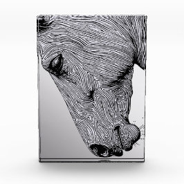 Fluss des Wilden Minimalistischen Schlupfs Fotoblock