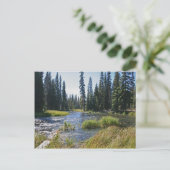 Fluss Deschutes am Little Lava Lake, Oregon Postkarte (Stehend Vorderseite)