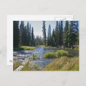 Fluss Deschutes am Little Lava Lake, Oregon Postkarte (Vorne/Hinten)