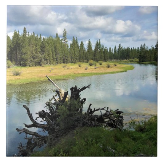 Fluss Deschutes, OR Fliese (Vorderseite)