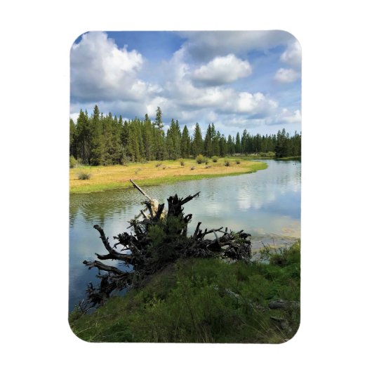 Fluss Deschutes, OR Magnet (Vertikal)