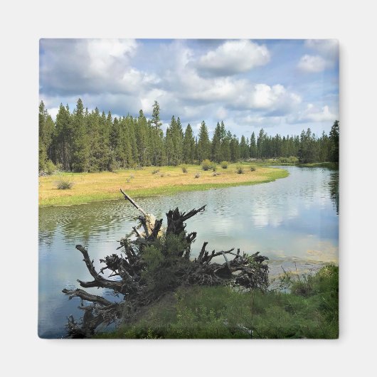 Fluss Deschutes, Oregon Magnet (Vorne)