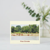 Fluss Donau Postkarte (Stehend Vorderseite)