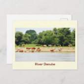 Fluss Donau Postkarte (Vorne/Hinten)