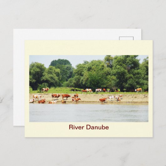 Fluss Donau Postkarte (Vorne/Hinten)