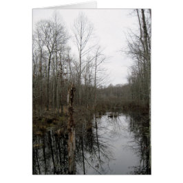 Fluss durch die Wildnis