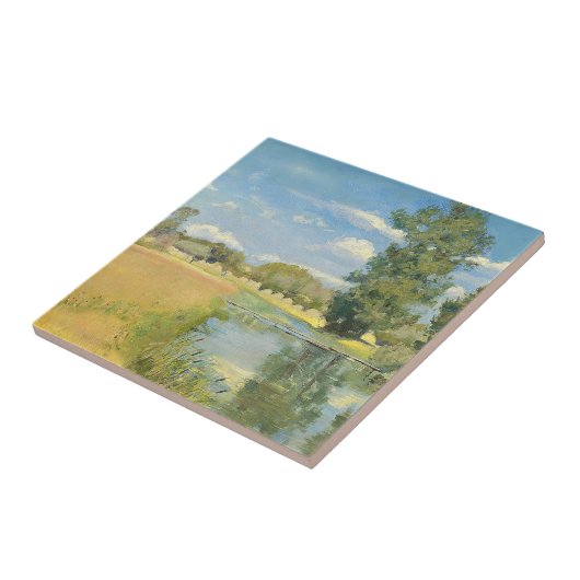 Fluss durch eine ernste Landschaft, Sommer Fliese (Seite)