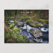 Fluss Erme, Ivybridge, Devon Postkarte (Vorderseite)