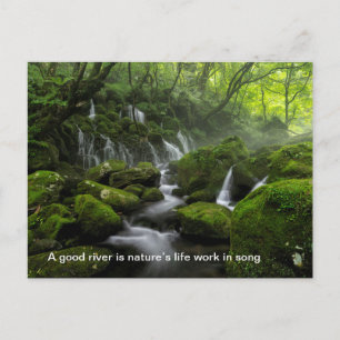 Fluss - Grünwald - Zitat Mix Postkarte