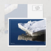 Fluss Ice Postkarte (Vorne/Hinten)