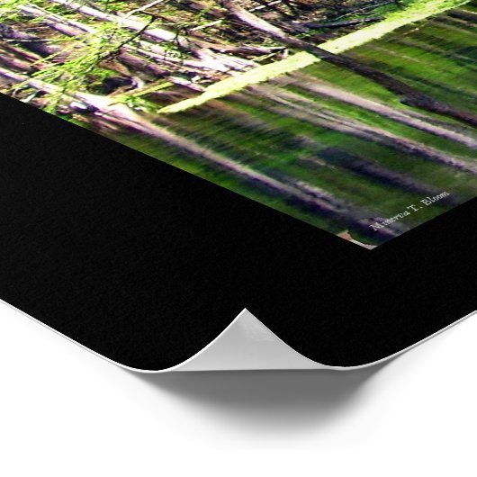 Fluss Ichetucknee Poster (Ecke)