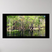 Fluss Ichetucknee Poster (Vorne)