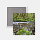Fluss im grünen Wald, Oregon Magnet (Vorderseite/Rückseite)