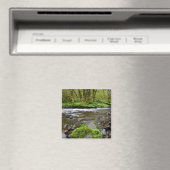 Fluss im grünen Wald, Oregon Magnet (In Situ (Geschirrspüler))
