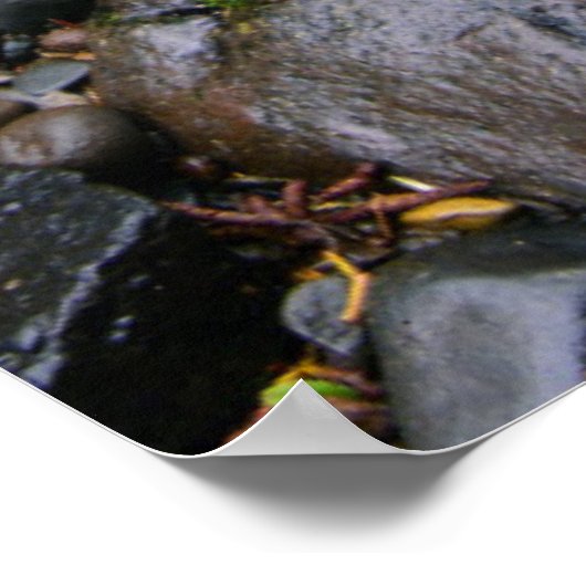 Fluss im grünen Wald, Oregon Poster (Ecke)