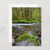 Fluss im grünen Wald, Oregon Postkarte (Vorne/Hinten)