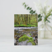 Fluss im grünen Wald, Oregon Postkarte (Stehend Vorderseite)