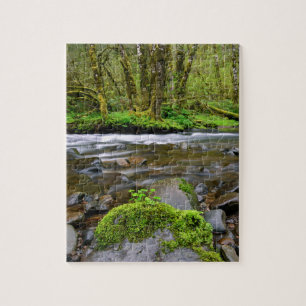 Fluss im grünen Wald, Oregon Puzzle