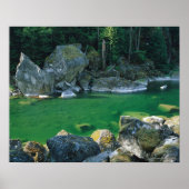 Fluss im Nationalpark North Cascade Poster (Vorne)