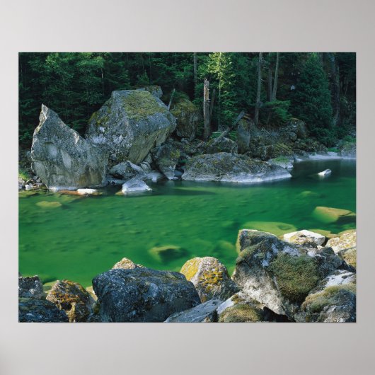 Fluss im Nationalpark North Cascade Poster (Vorne)