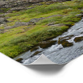 Fluss im Thingvellir-Nationalpark, Island Poster (Ecke)