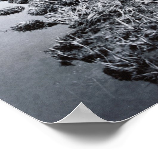 Fluss in der Nähe des Waldes Poster (Ecke)