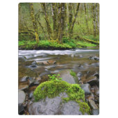 Fluss in grünem Wald, Oregon Klemmbrett (Rückseite)