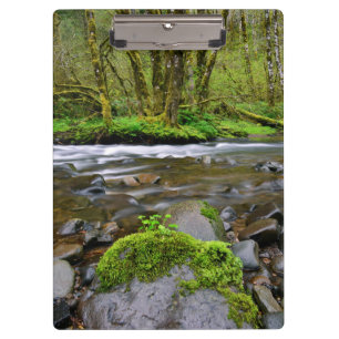 Fluss in grünem Wald, Oregon Klemmbrett