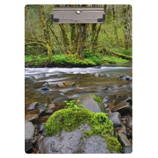 Fluss in grünem Wald, Oregon Klemmbrett (Vorderseite)