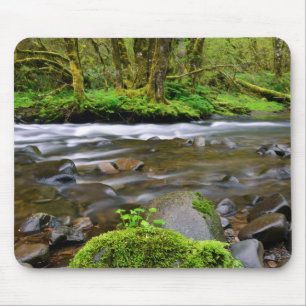 Fluss in grünem Wald, Oregon Mousepad
