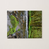 Fluss in grünem Wald, Oregon Puzzle (Horizontal)