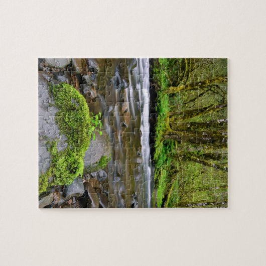 Fluss in grünem Wald, Oregon Puzzle (Horizontal)