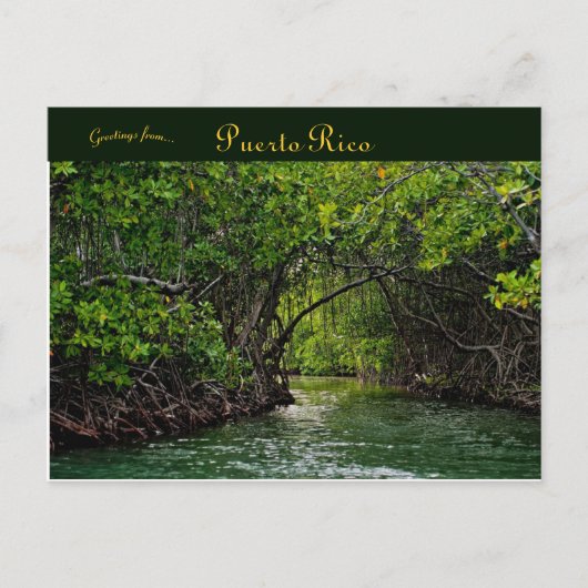 Fluss in Puerto Rico Postkarte (Vorderseite)
