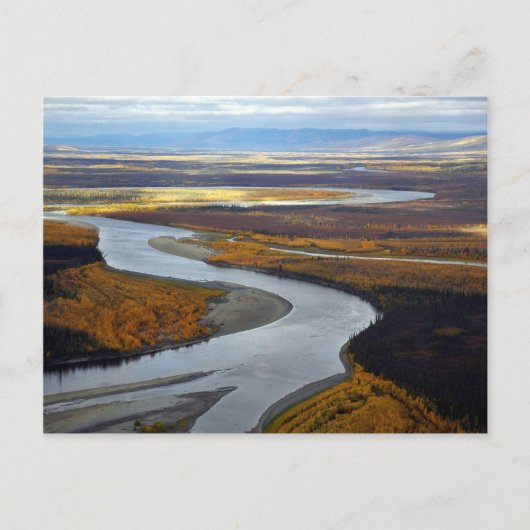Fluss Koyukuk Postkarte (Vorderseite)