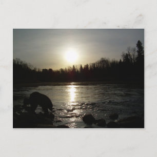 Fluss Mississippi - Reflexion über den Sonnenaufga Postkarte