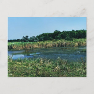 Fluss Molochnaja bei Melitopol.  SüdUkraine Postkarte