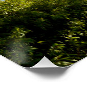 Fluss Murray Australia The View, Poster (Ecke)